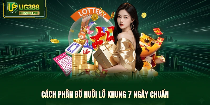 Cách phân bổ nuôi lô khung 7 ngày chuẩn