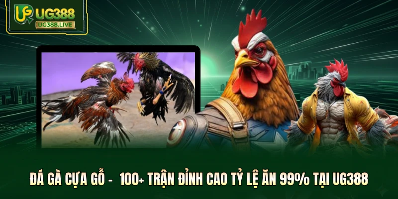 Đá Gà Cựa Gỗ - 100+ Trận Đỉnh Cao Tỷ Lệ Ăn 99% Tại UG388