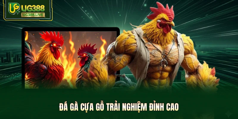 Đá gà cựa gỗ trải nghiệm đỉnh cao