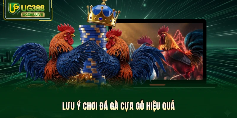 Lưu ý chơi đá gà cựa gỗ hiệu quả