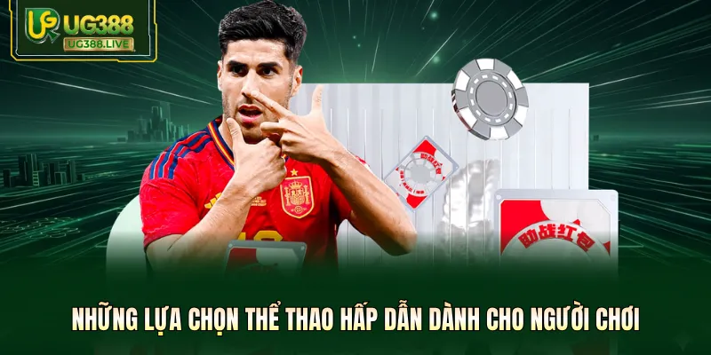 Những lựa chọn thể thao hấp dẫn dành cho người chơi