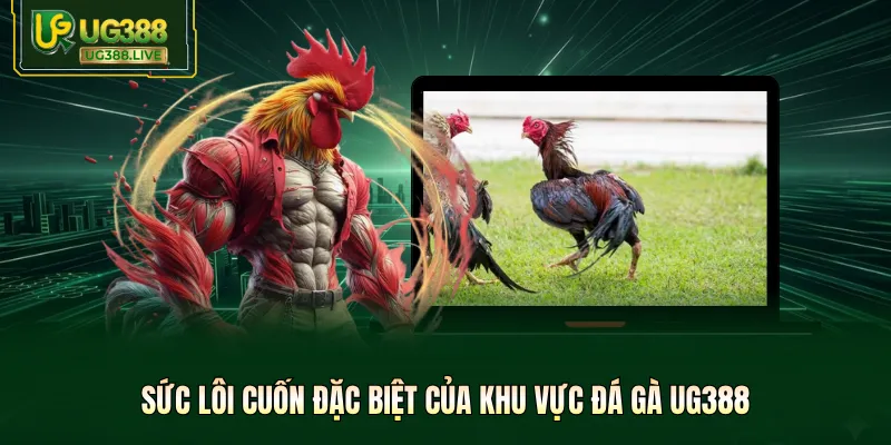 Sức lôi cuốn đặc biệt của khu vực đá gà UG388